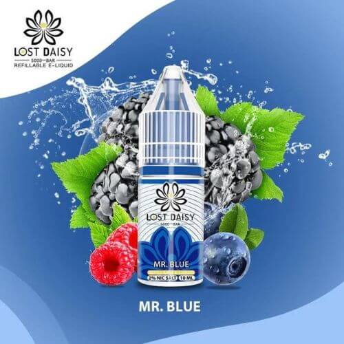Lost Daisy 5000 Bar Salt 10ml Box of 10, Mr Blue Flavor
