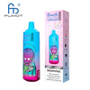 Fumot RandM Tornado 9000 Pro Prefilled Vape - Box of 10
