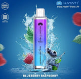 Hayati CrystalPro Max 4000 Puff Prefilled Vape Device, Blueberry Raspberry Flavor