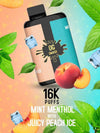 OG SMASH DUO 16000 Puff Prefilled Vape Pod Kit, Mint Menthol, Juicy Peach Ice Flavor