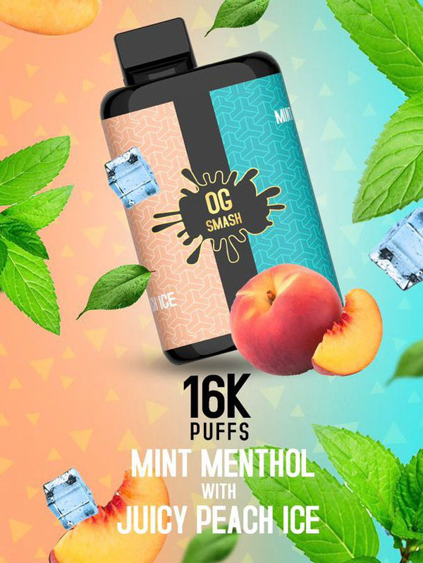 OG SMASH DUO 16000 Puff Prefilled Vape Pod Kit, Mint Menthol, Juicy Peach Ice Flavor