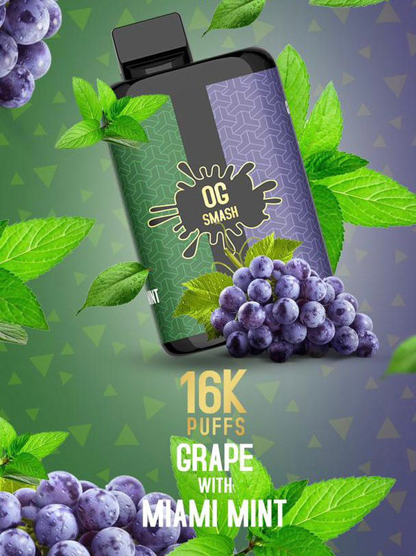 OG SMASH DUO 16000 Puff Prefilled Vape Pod Kit, Grape, Miami Mint Flavor