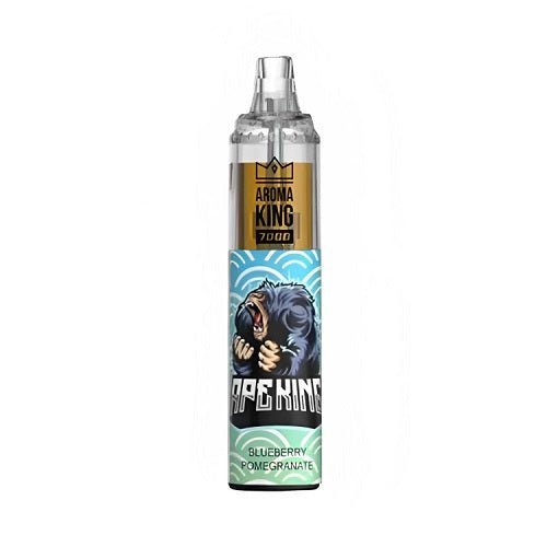 RandM Tornado 7K Prefilled Vape Pod Device Pack of 10, Blueberry Pome Grante Flavor